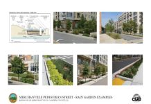 Pedestrian Street TAP Project