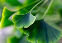 Jumpstart Health Naturally