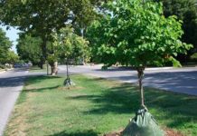 Stewardship Grant Received