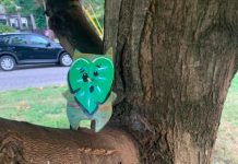 Hunting for Koroks