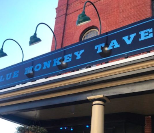 Take the Monkey Survey