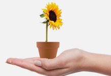 Earth Day giveaway