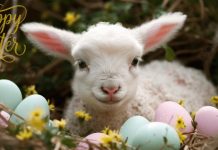 Happy Easter 2026!