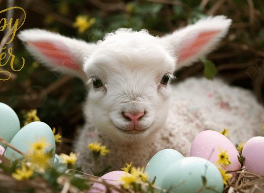 Happy Easter 2026!
