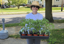 Plant Sales at Eclipse