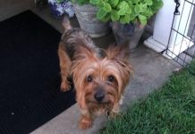 Meet Mr. Max