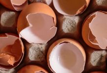 Eggshells In Your Garden