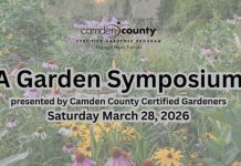 County Green Events