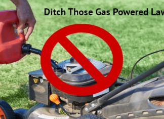 Gas Blowers Aren’t Just Noisy