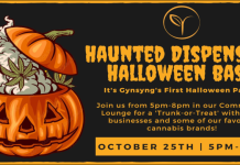 Gynsyng’s Halloween Party