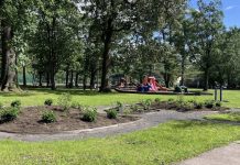 The Healing Garden at Wellwood Park