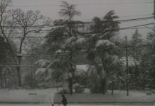 Snowstorm