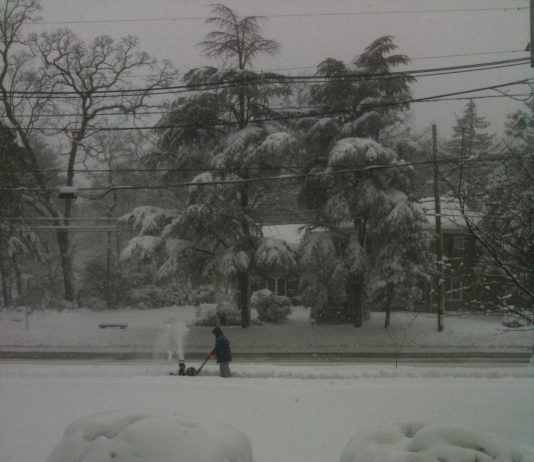 Snowstorm