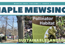 Maple Mews Takes Steps Toward Building an Eco- Friendly Landscape