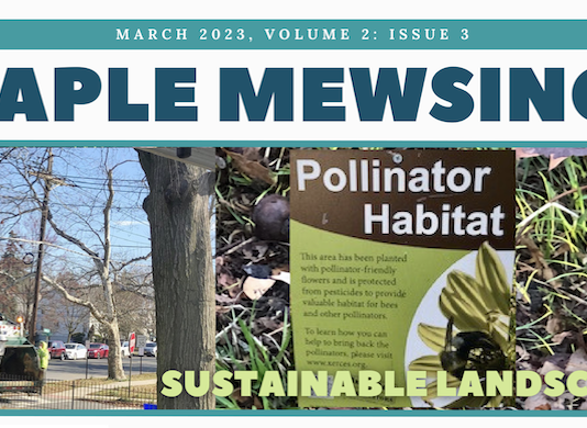 Maple Mews Takes Steps Toward Building an Eco- Friendly Landscape