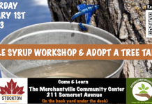 Adopt a Merchantville Maple