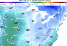 Plunge Back to Winter