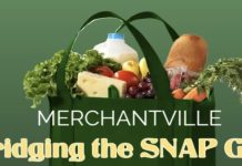 Bridge the SNAP Gap Initiatives