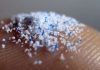 Student Invents Microplastics Filter