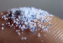 Student Invents Microplastics Filter
