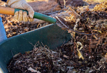 Garden Without Tilling