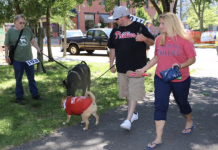Mutt Strutt Returns