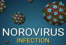 2025 Norovirus