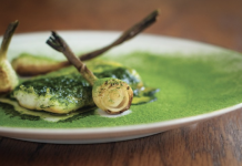 Meet the Foragers