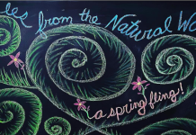 Spring Fling at Park Place