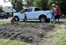 Welcome to The Sunflower Garden.