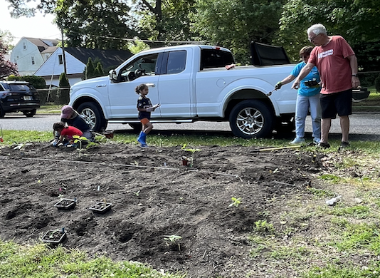 Welcome to The Sunflower Garden.