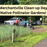 Beautify Our Borough Gardens