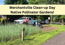 Beautify Our Borough Gardens
