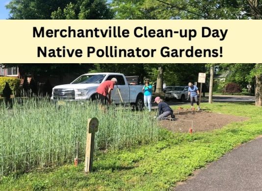 Beautify Our Borough Gardens