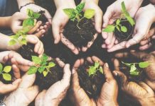 Eclipse Hosts Seed & Plant Swap