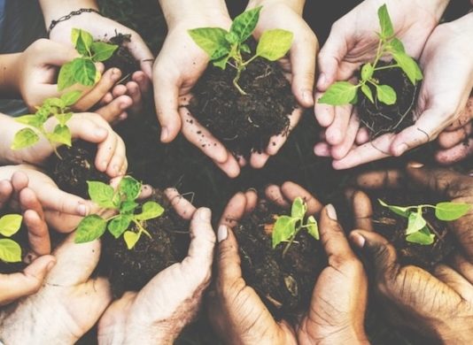 Eclipse Hosts Seed & Plant Swap