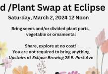 Seed Swap @ Eclipse