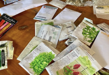 Eclipse Seed Exchange