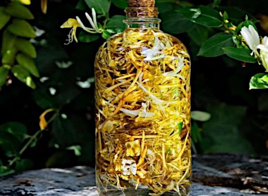 Ready To Forage?