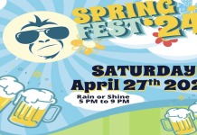 Springfest 2024 is BACK!