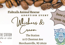 Whiskers Adoption Event