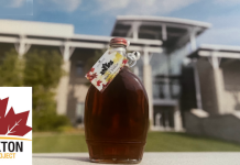 IE @Stockton’s Maple Project