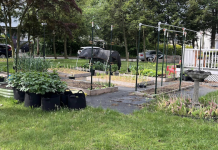 Modeling Sustainable Yards