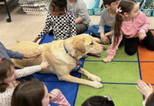 Therapy Dog Visit