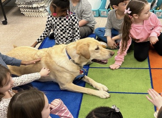 Therapy Dog Visit