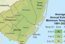 2024 Plant Hardiness Guides