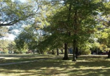 Wellwood Clean-Up Day