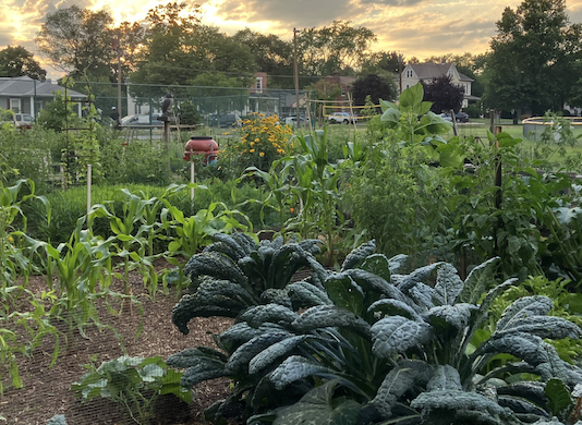 Green Spaces, Happy Places