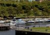 Marina Life @ Wiggins Park