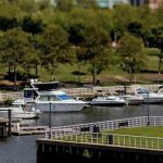 Marina Life @ Wiggins Park